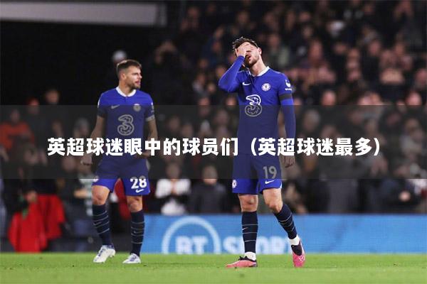 英超球迷眼中的球員們（英超球迷最多）