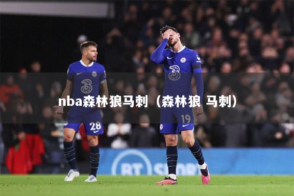 nba森林狼馬刺（森林狼 馬刺）